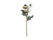 Fleur White Rose H56cm Set of 2 image