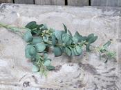 Fleur Branch with Leaves
