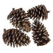 Pine Cones set of 4