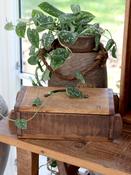 Old Brick Mould with Lid- Natural