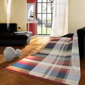 Biederlack Cotton Rich Panel Check Red Throw | 140x180cm