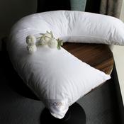 Dorma Pure Comfort V Shape Pillow