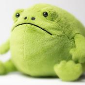 Ricky Rain Frog image