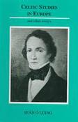 Celtic Studies in Europe and Other Essays image