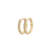 Burren Burren Don't Believe The Hype Earrings image