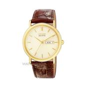 Citizen Citizen Eco Drive Strap Watch