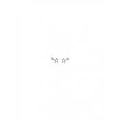 Absolute Silver Silver Open Star Crawler Earrings