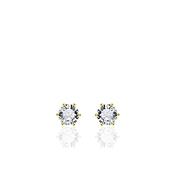Gisser Solitaire CZ Gold Stud Earrings image