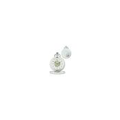 Telstar Two Door Mechanical Pocket Watch