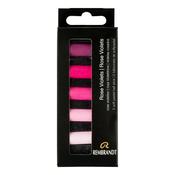 Rembrandt Soft Pastels  Rose Violets Set image