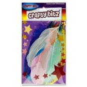 Crafty Bitz 10G Bag Feather Duck Quills image