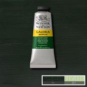 Galeria Acrylic - 60ml Hookers Green image