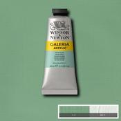 Galeria Acrylic - 60ml Pale Olive image