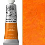 Winton Oil - 37ml -  Cadmium Orange Hue image