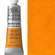 Winton Oil - 37ml - Cadmium Yellow Deep Hue image