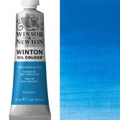 Winton Oil - 37ml -  Cerilean Blue Hue image