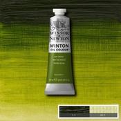 Winton Oil - 37ml -  Sap Green image