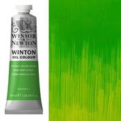 Winton Oil - 37ml - Phthalo Yellow Green image