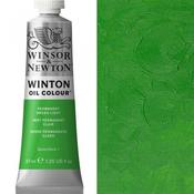 Winton Oil - 37ml -  Permanent  Green image