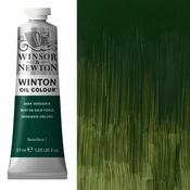 Winton Oil - 37ml - Dark Verdigris image