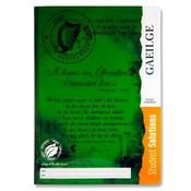 Student Solutions A4 120Pg Durable Cover Manuscript Book - Irish image
