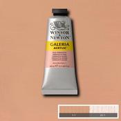 Galeria Acrylic - 60ml  Pale Terracotta image