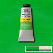 Galeria Acrylic - 60ml Permanent Green Light image