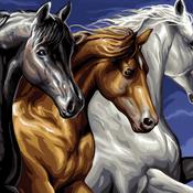 Wild Horses - Large Paint By Numbers image