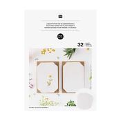 Refill set blotting paper for plant press small 14.8x21x4.3cm