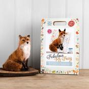 Fabulous-Mr-Foxy-Felting-Kit.