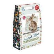 Wild Scottish Hare  Needle Felting Kit image