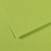 Canson Vivaldi Poster Paper - 50 x 65cm 120gsm Bright Green
