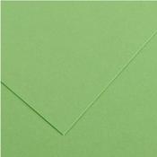 Canson Vivaldi Poster Paper - 50 x 65cm 120gsm Apple Green