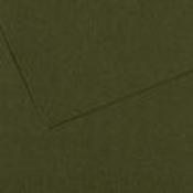 Canson Vivaldi Poster Paper - 50 x 65cm 120gsm Forest / Fir Green