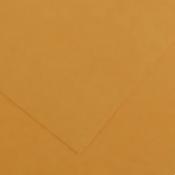 Canson Vivaldi Poster Paper - 50 x 65cm 120gsm Leather