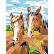 Horses - Med Paint By Numbers image