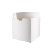 Tall Cake Box 8"