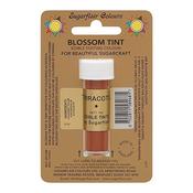 Edible Dust -Terracotta image