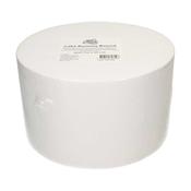 Cake Dummy - 10" Round 6" Deep