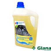 INTENSIVE Q1 ACTION - Glana