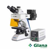 Fluorescence Microscope OBN 148