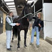 Stay Warm and Active with ELKA Ribbed Collar Thermal Vest Body Warmer in Black or Olive Green - Glana image