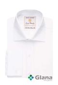 Ambitious BROOK TAVERNER Chester Classic Fit Poplin Shirt, 2 Colours - Glana image