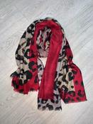 Ruby Scarf image