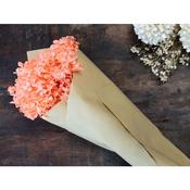 Fleur Dried Hydrangea Flower