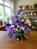 The Vanda Paradise