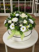 Olivia Hatbox