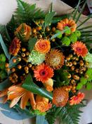 Tangerine Burst