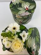 Gemme Tropicale Hatbox