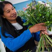 (D2F Order) Florist Choice [Colourful but no red or white!] €58.00
(€52.20)